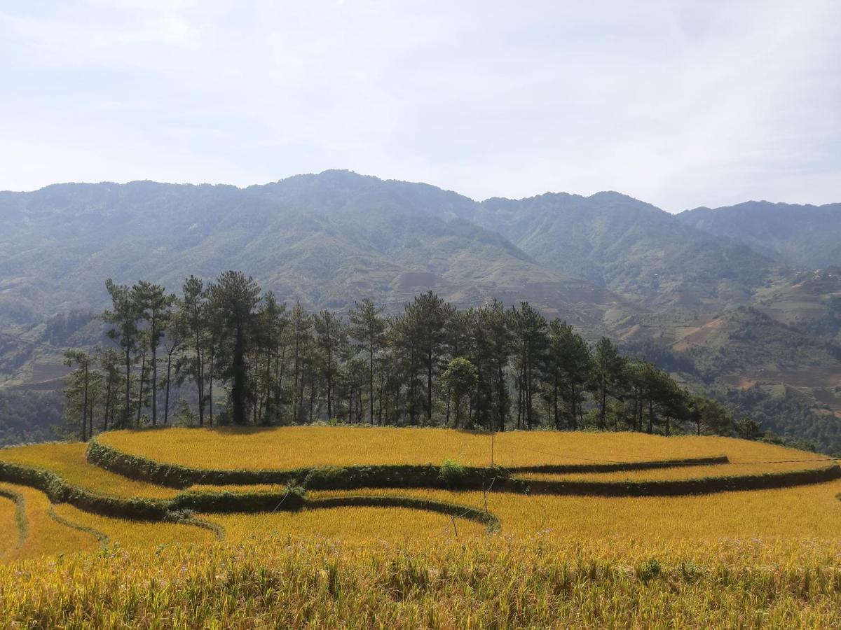 Mu Cang Chai Backpacker Hostel Exterior photo