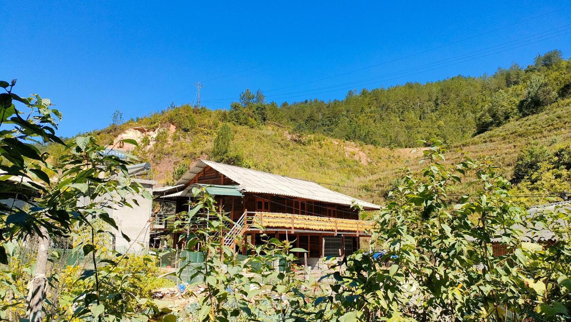 Mu Cang Chai Backpacker Hostel Room photo
